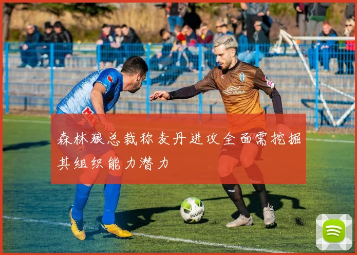 森林狼总裁称麦丹进攻全面需挖掘其组织能力潜力