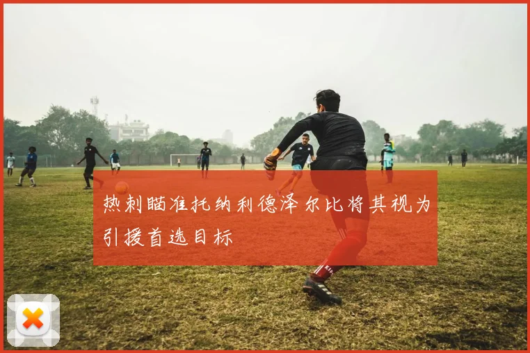 热刺瞄准托纳利德泽尔比将其视为引援首选目标