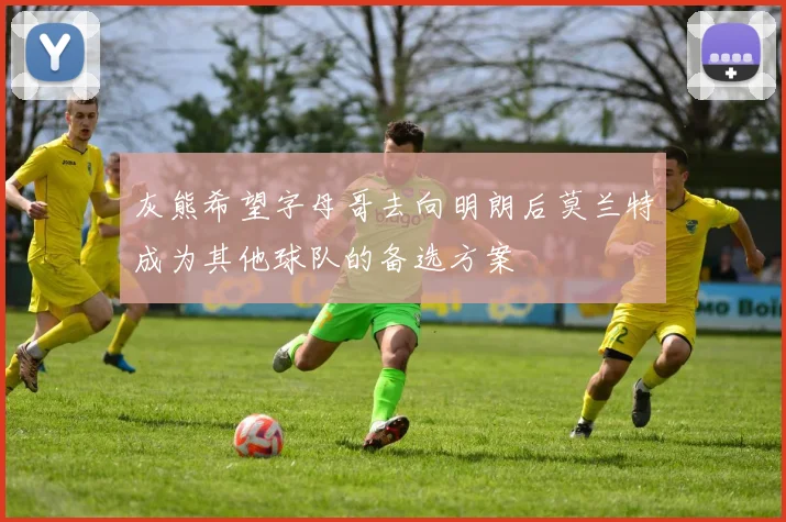 灰熊希望字母哥去向明朗后莫兰特成为其他球队的备选方案